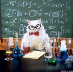 Chemistry Cat