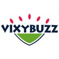 vixybuzz